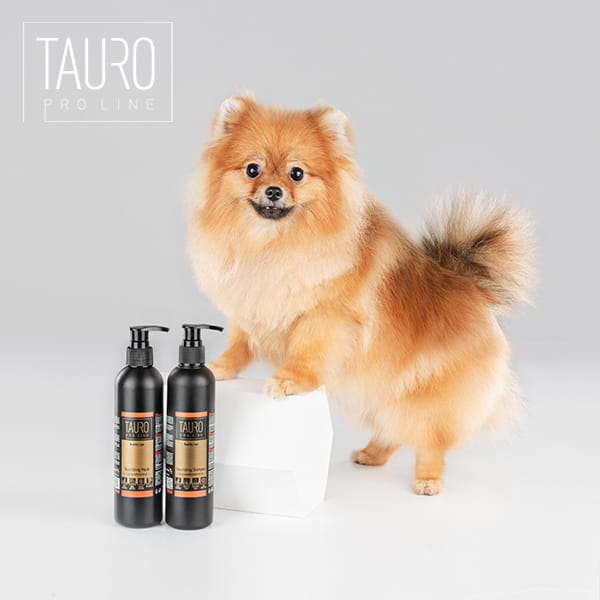kosmetyki Tauro znakomicie dbają o psią sierść w przypadku alergii