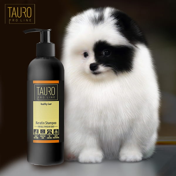 Poprawa stanu siersci u psa dzieki kosmetykom Tauro
